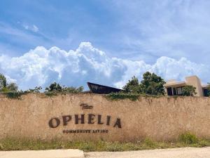 New Loft! Jungle Gym Best Pool