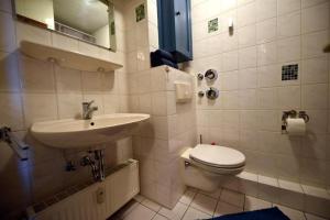 Ferienwohnung Dresden Elbe