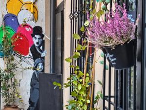 AVC apartment centrale