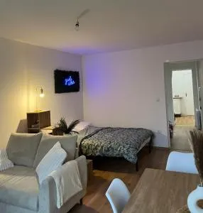 Appartement Chill & confort - 圣迪济耶