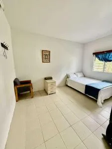 Paea's Guest House - Tongatapu