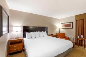 King Room room in Best Western Cotton Tree Inn