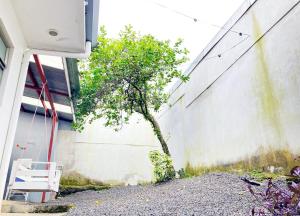 Casa Matiza, 7 min SJO airport, free parking, AC