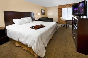 King Room with Spa Bath - Non-Smoking room in Hampton Inn Asheboro