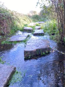 Maisons de vacances Maison de vacances a Sarzeau a 5 min de la plage a pieds : photos des chambres