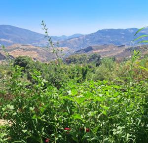 LUX CASITA Almendral