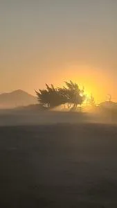 Entre o Mar e a Lagoa - 里约博尼图