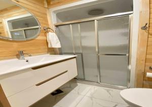 chalet Ani