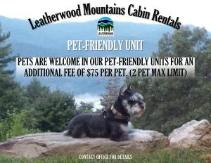 The Last Resort by Leatherwood Mountains Resort - 弗格森