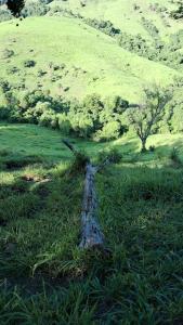 Casa zona rural Delfinópolis - Recanto São Jorge