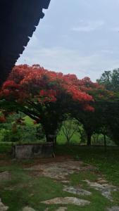 Casa zona rural Delfinópolis - Recanto São Jorge