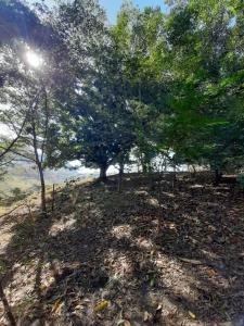 Casa zona rural Delfinópolis - Recanto São Jorge