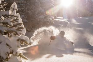 Recently Remodeled 2 Br Condo Condo