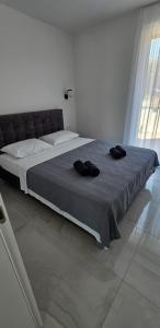 Family friendly house with a swimming pool Seline, Paklenica - 23560