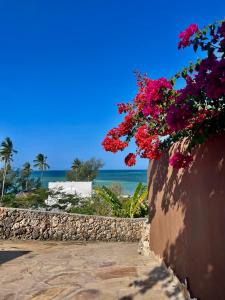 CDM ViLLAS ZANZIBAR