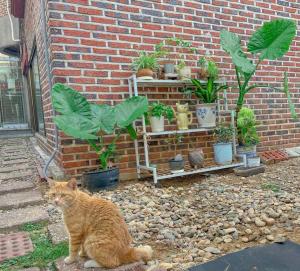 6 Gyeongbokgung Palace