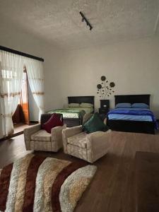 El Renacimiento - Suite Rosita