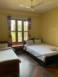 Tara guesthouse - Sauraha,Chitwan