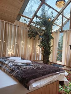 Sukoon Saath by Hostalgic