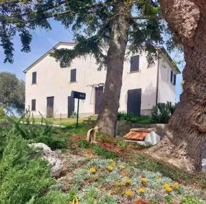 Grazioso cottage di campagna - Mergo