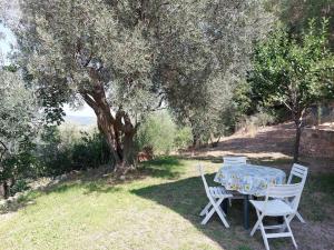 Grazioso cottage di campagna
