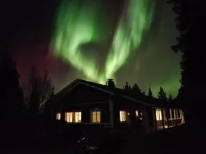 Arctic Mustikka - Vuontisjärvi