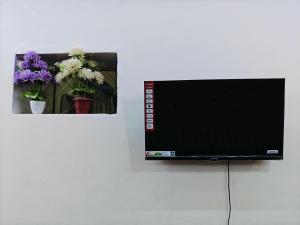 Kiara Home stays
