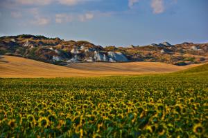 Cozy Tuscan countryside escape