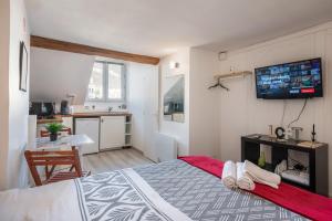 Le Prestige Grenoble hypercentre