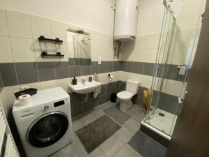 Černý Tulipán - Apartmán 2