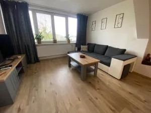Černý Tulipán - Apartmán 5 - Skvrňany