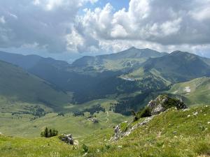 Appartement PRAZ DE LYS TMB