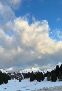 Appartement PRAZ DE LYS TMB