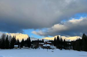 Appartements Appartement PRAZ DE LYS TMB : photos des chambres