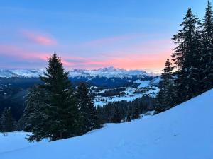 Appartement PRAZ DE LYS TMB