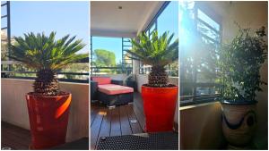 Appartements Elegant T3 tout equipe et confort proche parc expo et Arena : photos des chambres