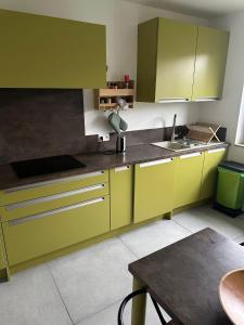 Appartements Vaste appartement avec parking gratuit, borne dispo et espace de travail : photos des chambres