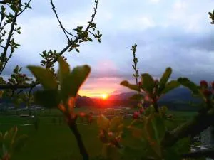 Griesbachhof-Wilder Kaiser - Eberhartling