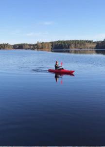 Modern stuga med strandtomt