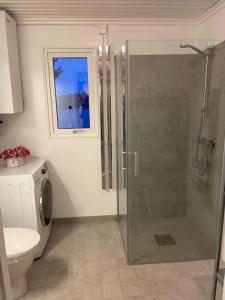 Modern stuga med strandtomt