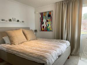 Modern stuga med strandtomt