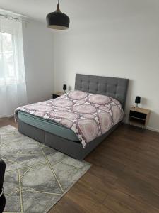 Appartements Vaste appartement avec parking gratuit, borne dispo et espace de travail : photos des chambres