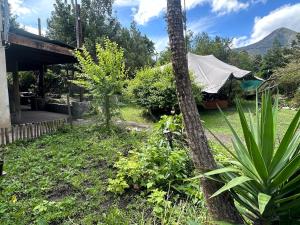 Stormsriver Backpackers Dijembe