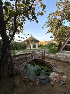 Aranya Stuga Pushkar