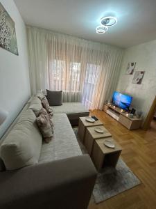 Apartment Mountain Dreams