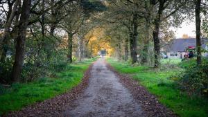 Wellnesshuisje in de Sallandse Heuvelrug