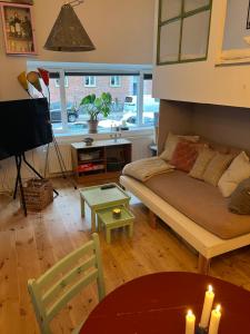 Spacious apartment in central Copenhagen