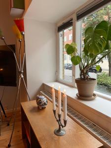 Spacious apartment in central Copenhagen