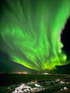 Premium Downtown Queen Apartment KARTULI