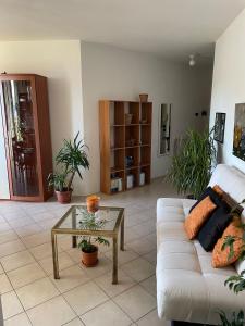 Chianti Roses Monteriggioni